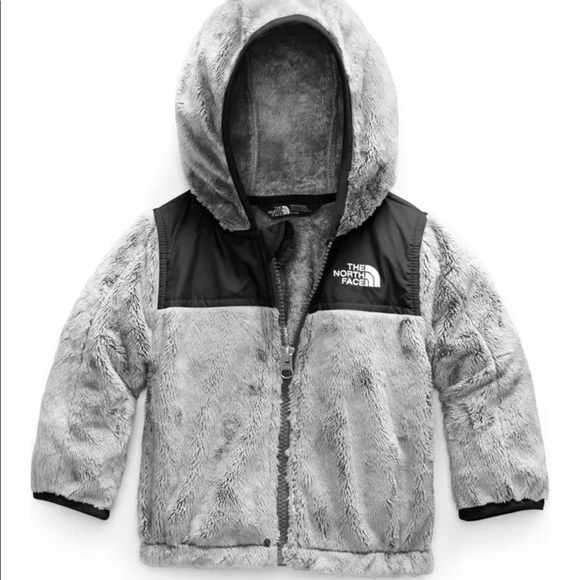 The North Face Other - North face Zip Fleece Hoodie